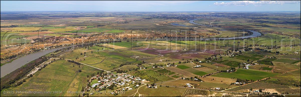 Peter Bellingham Photography Mypolonga - SA (PBH3 00 31122)